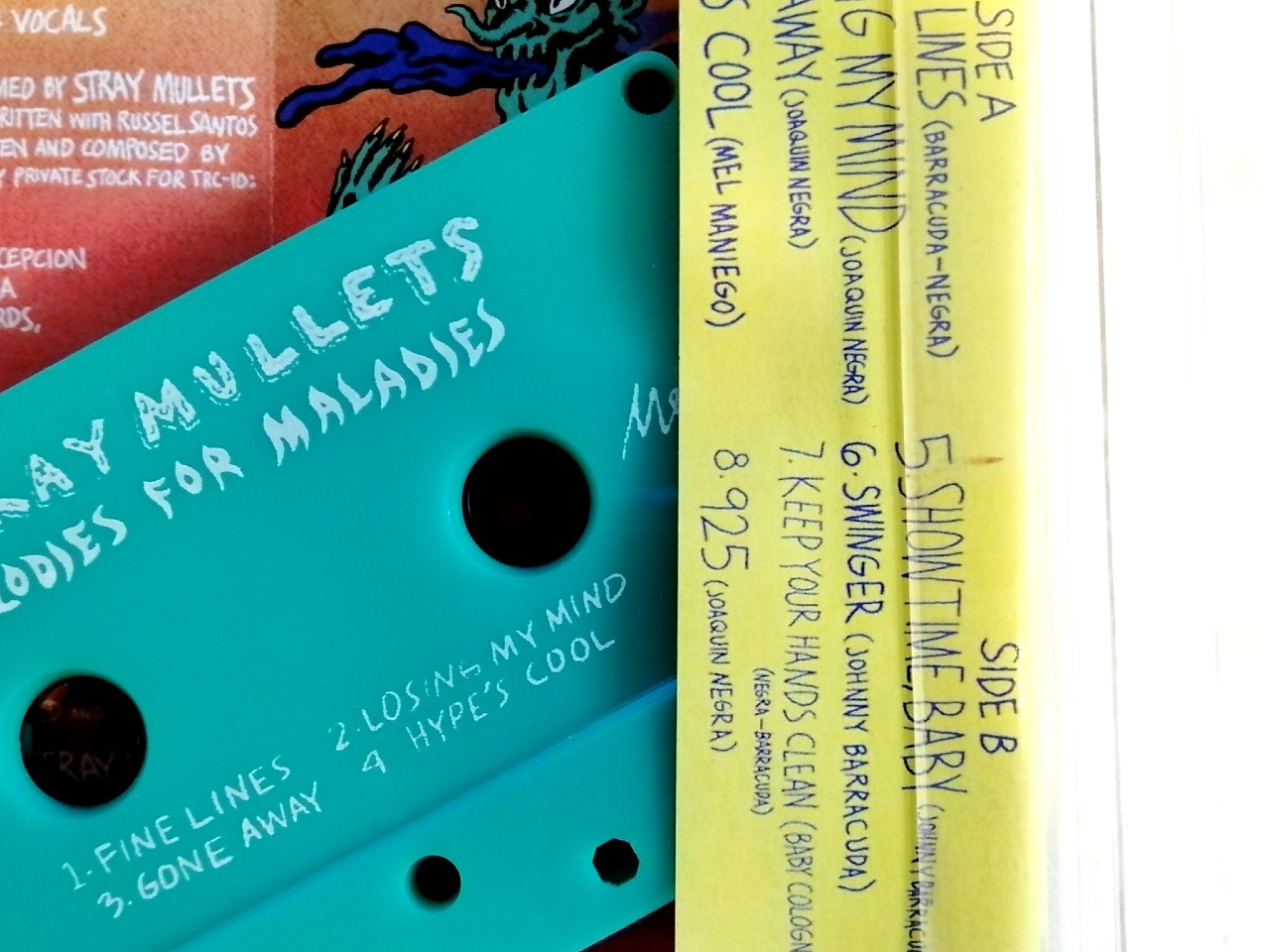 Stray Mullets - Melodies For Maladies (Cassette) | Melt Records