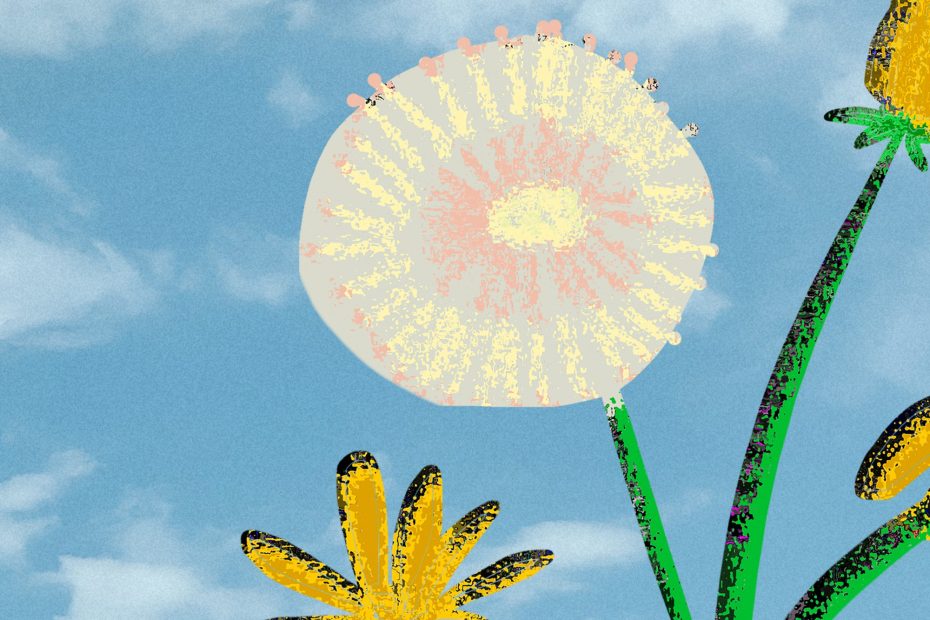 Pulsing Chunky - Dandelion | Melt Records