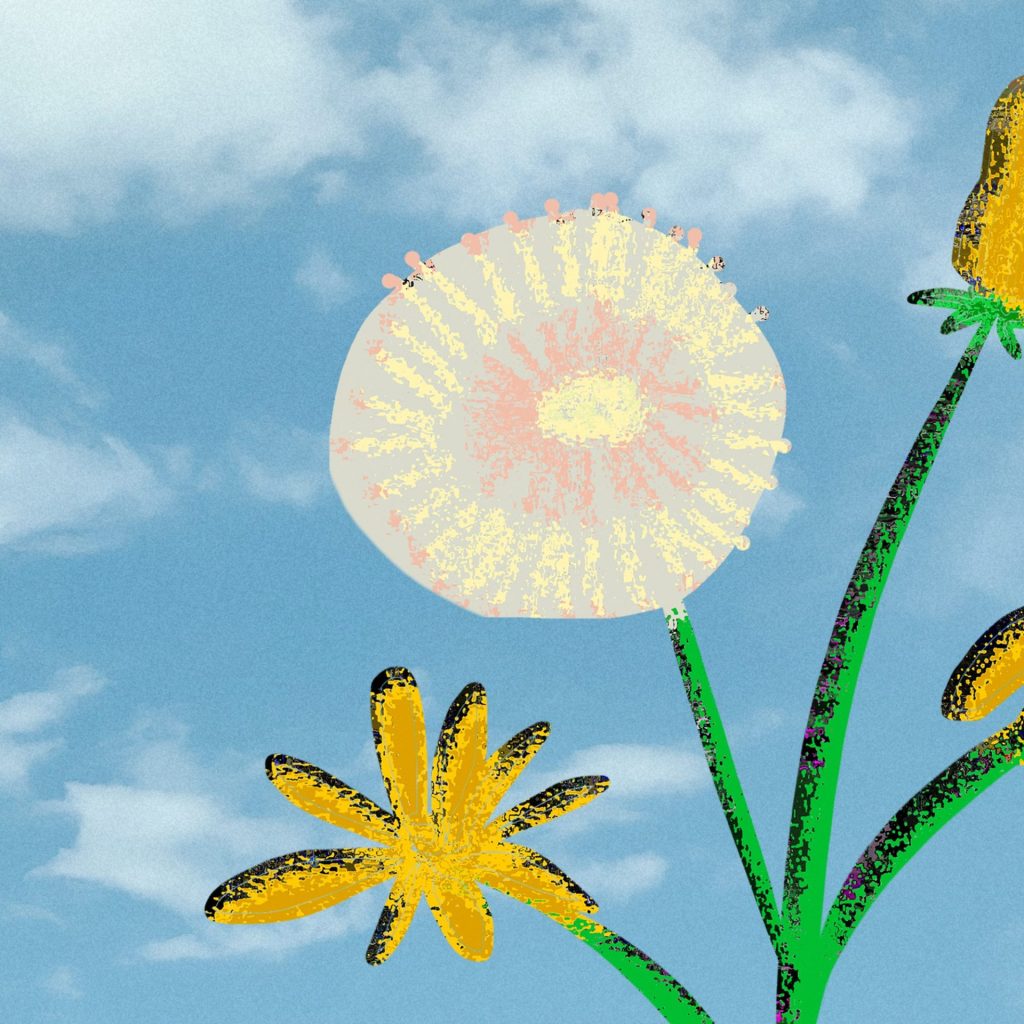 Pulsing Chunky - Dandelion | Melt Records