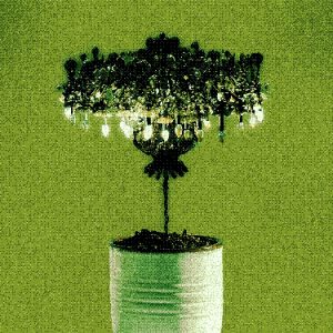 LARA - Bonsai | Melt Records